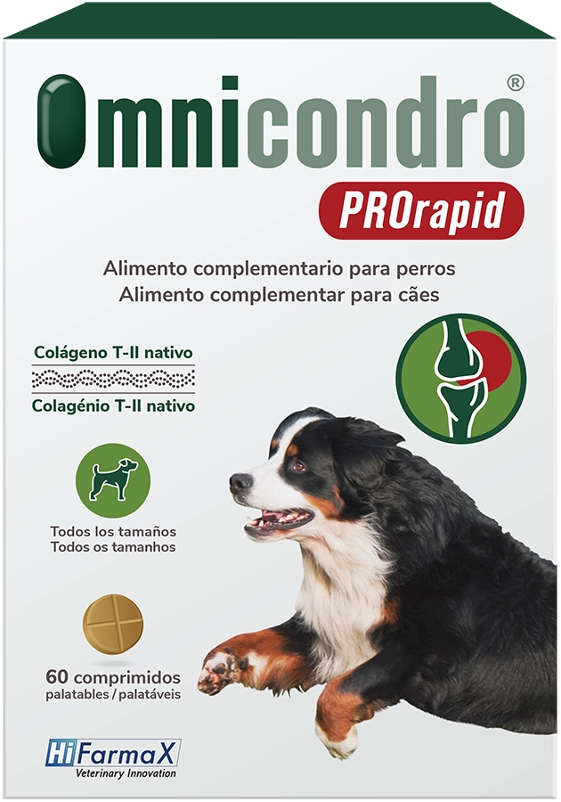 Omnicondro PROrapid