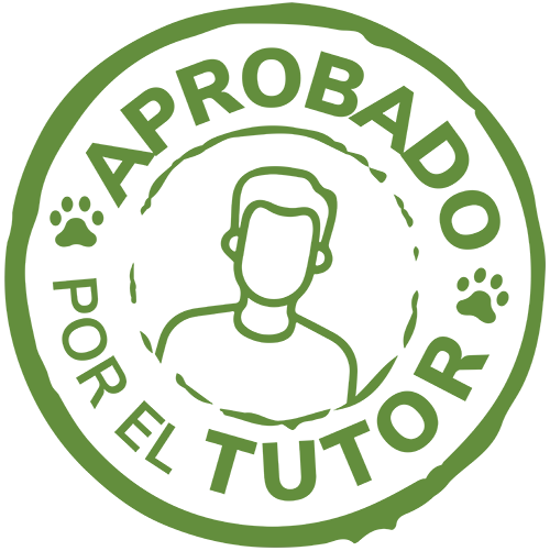 Aprobado por el Tutor